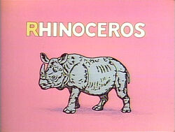 Rhino Limerick