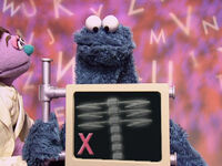 The Letter of the Day: X - X-ray (First: Episode 4018)