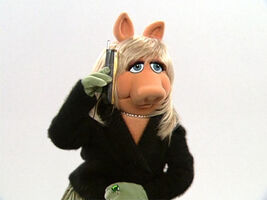 Bernieagent to Miss Piggy, Kermit the Frog, Lola Falana, and more