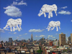 4141-elephantclouds