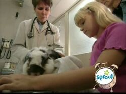 3787.Veterinarian