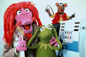 Muppetstonight8