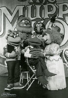 CM 871 MuppetShowLiveCastPhoto