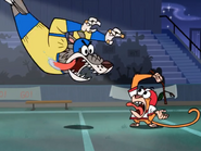 Wolf Tackles Jake