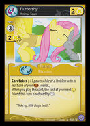 Fluttershy, Animal Team