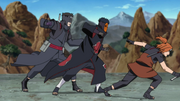 Root attacks madara