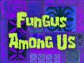 Fungus Among Us