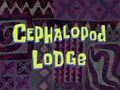 Cephalopod Lodge