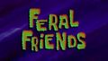 Feralfriends