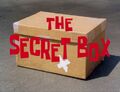 The Secret Box