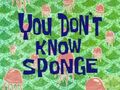 You-Don't-know-Sponge