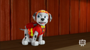 Marshall wearing his Pup-Fu outfit