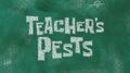 Teacher's pests