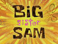 Big Sister Sam