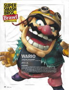 Wario