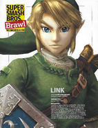 Link