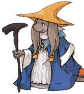 Nu Mou Black Mage.