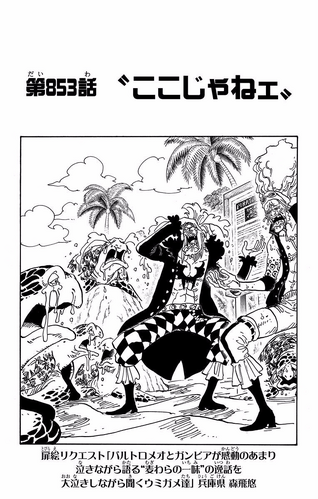 Chapter 853