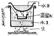 Sbs 282 1b