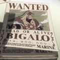 Bigalo's Wanted Poster