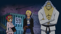 Revolutionaries in Dressrosa