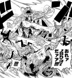 Whitebeard Fighting