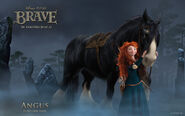 Brave-Angus-Wallpaper.jpg