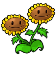 Transparent Twin Sunflower