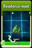 Reinforce-mint ready to level up