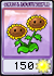 Twin Sunflower seed packet in PC version