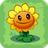 Sunflower3