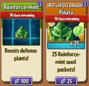 Reinforce-mint and his seed packets in the Store