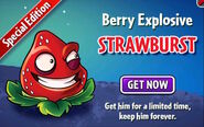 Strawburst Ad