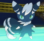 Olympia used the male Meowstic in the Gym battle against Ash. The male Meowstic was known well to use Helping Hand to boost female Meowstic's attacks.