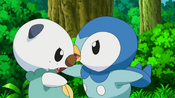 Piplup and Oshawott fight each other