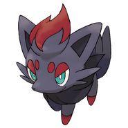 Zorua