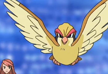 Solidad Pidgeot