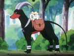 The farmer had a Houndoom, whom he had sent to town to get a clipper so he can shave Mareep's wool.