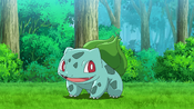 Ash's Bulbasaur (Seasons 1-7, archived clips season 8)