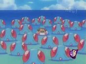 May got surrounded by Tentacool