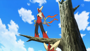 Mega Blaziken in the anime.