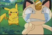 Meowth states Pikachu was a Team Rocket member