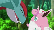 Wigglytuff healed and calmed down Salamence