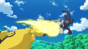 Electivire negates Marowak's attack