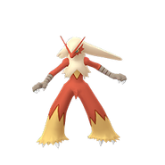 0257Blaziken GO