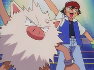 Ash and Primeape