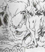 Arcanine was used by Blaine in his brief confrontation against Team Rocket.