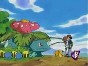 Venusaur checks Ash and May up