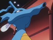 Clair sent Kingdra