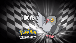 It's Pidove!